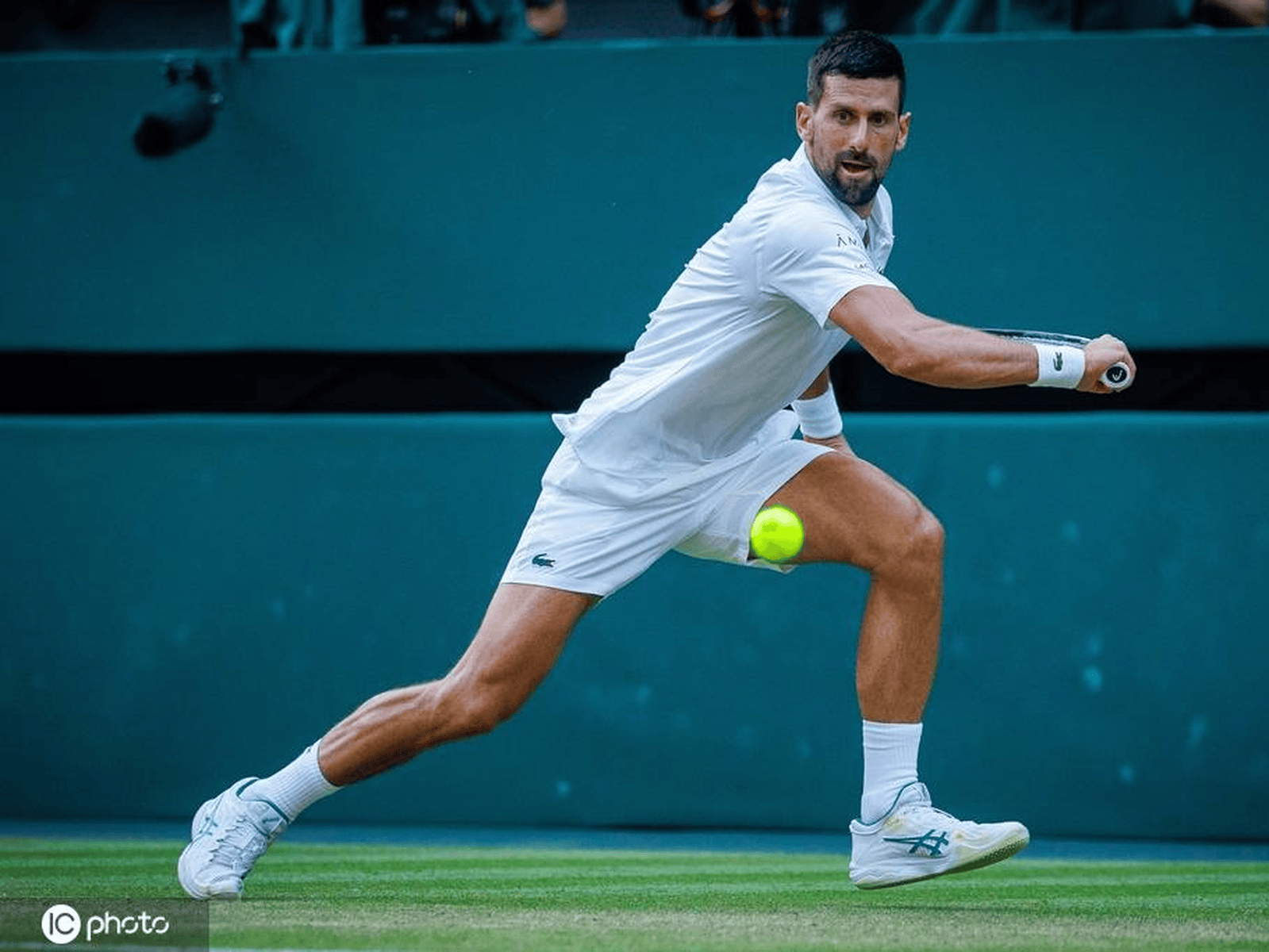 拉沃尔杯完胜戴维斯杯,德约科维奇状态火热 拉沃尔杯完胜戴维斯杯,德约科维奇状态火热