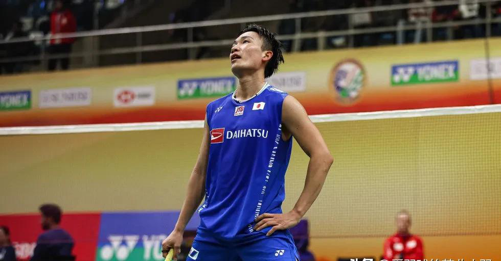 日本队碾压印度队,辛杜惊艳四座 日本队碾压印度队,辛杜惊艳四座