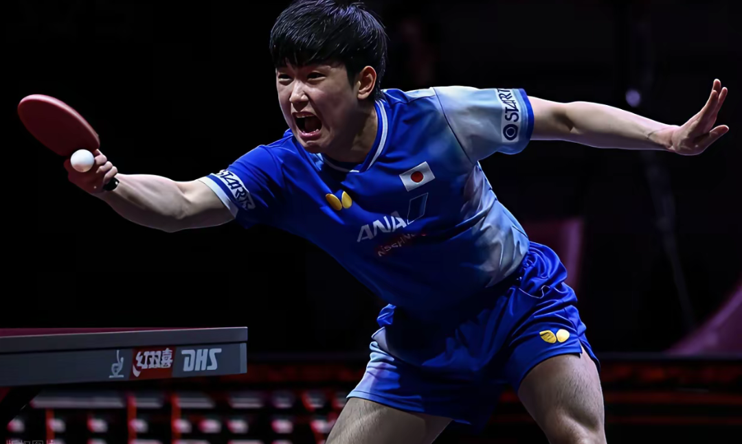 瑞典队碾压奥地利队,张本智和刷新纪录 瑞典队碾压奥地利队,张本智和刷新纪录