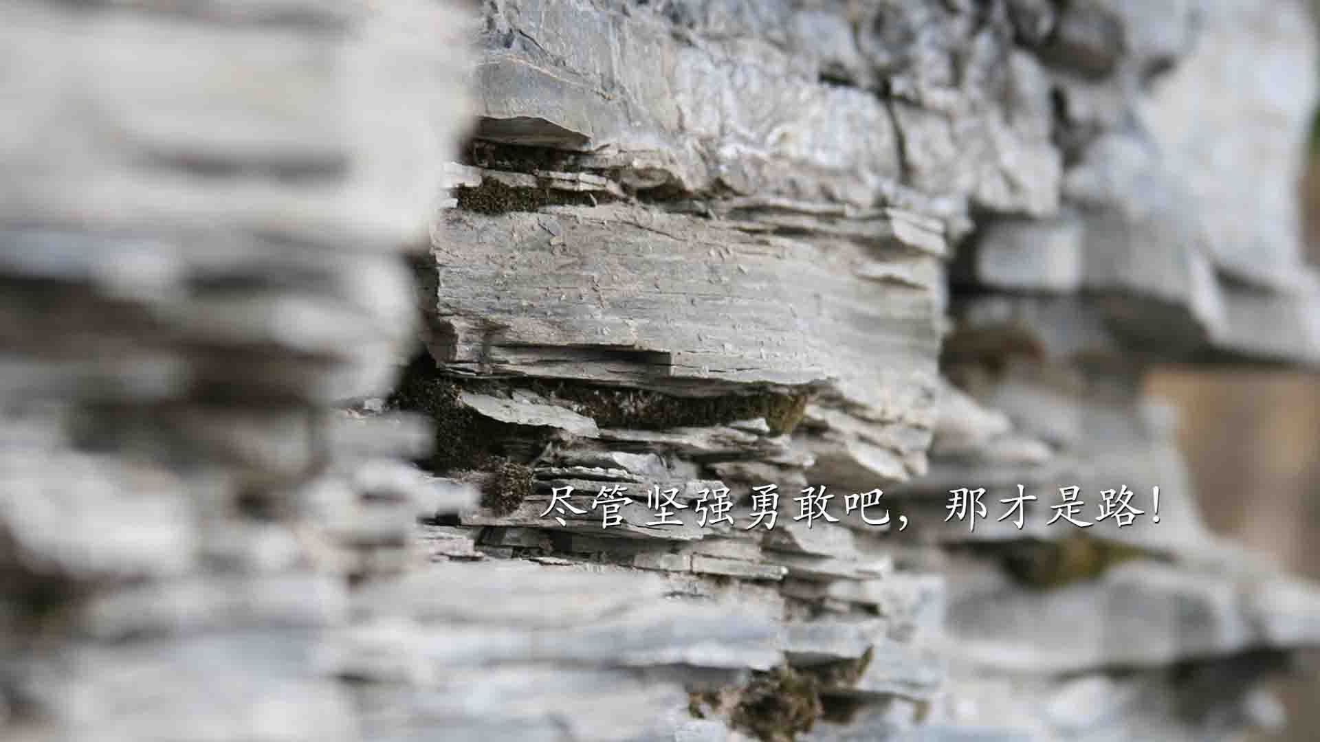 奥亚尔萨瓦尔独舞之夜，德甲争冠战的天神下凡