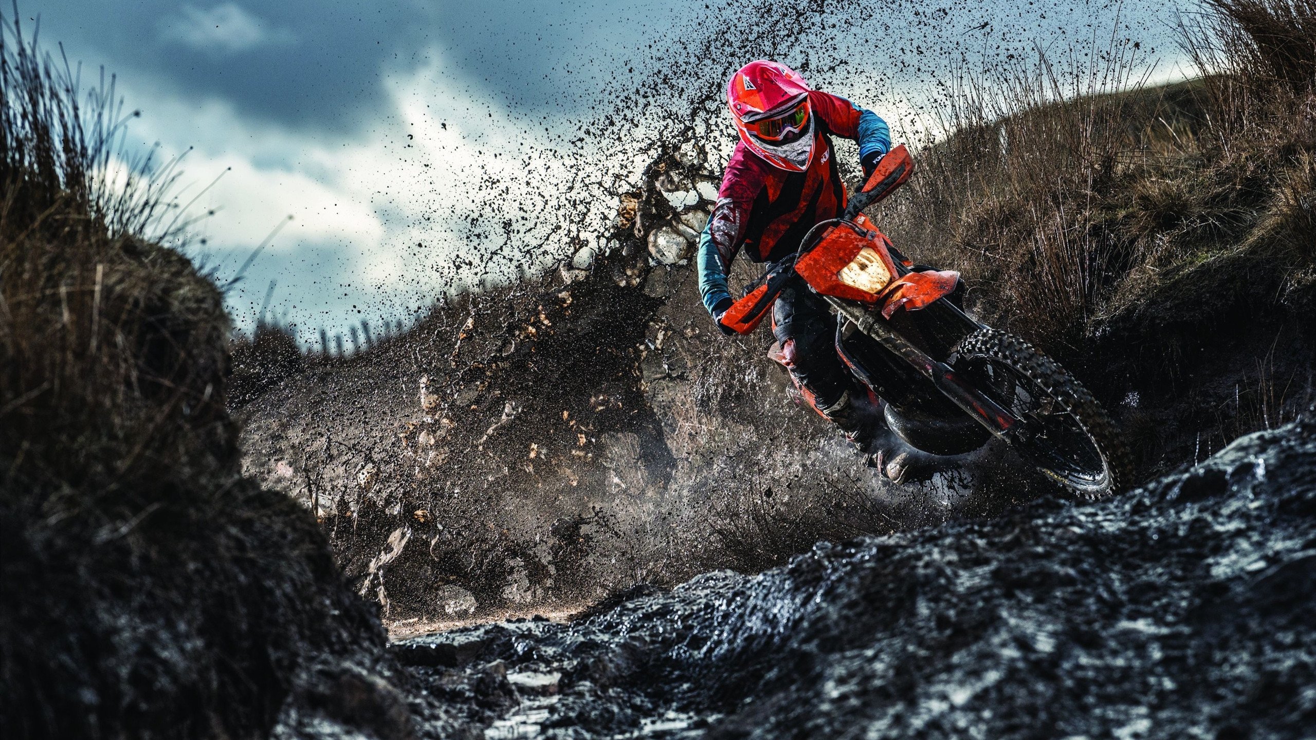 小贾伦·杰克逊,关键节点连斩公牛,灰熊新王初露锋芒